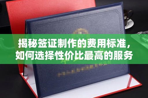 仁和揭秘签证制作的费用标准，如何选择性价比最高的服务？