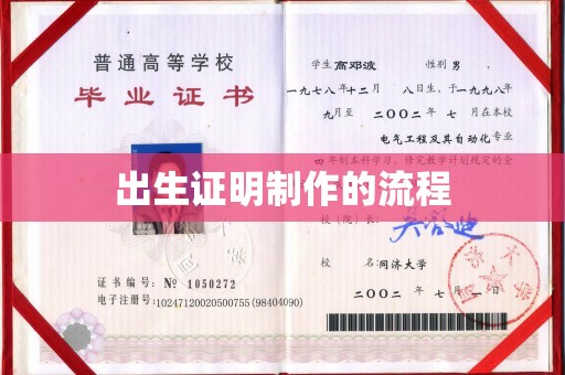 方城出生证明制作的流程